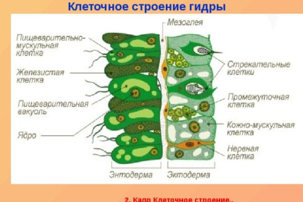 Кракен вместо гидры