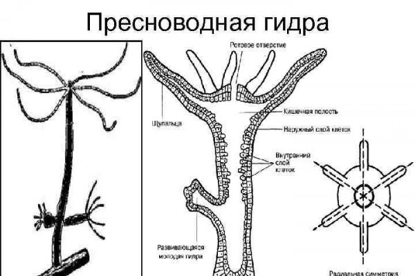 Кракен маркет даркнет только через стор