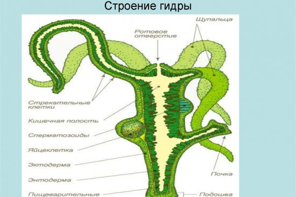 Даркнет заказ